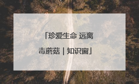 珍爱生命 远离毒蘑菇｜知识窗