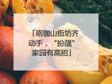 珞珈山街坊齐动手，“扮靓”家园有高招