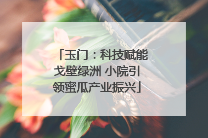 玉门：科技赋能戈壁绿洲 小院引领蜜瓜产业振兴