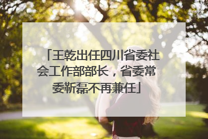 王乾出任四川省委社会工作部部长，省委常委靳磊不再兼任