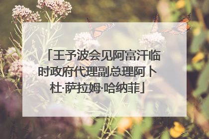 王予波会见阿富汗临时政府代理副总理阿卜杜·萨拉姆·哈纳菲