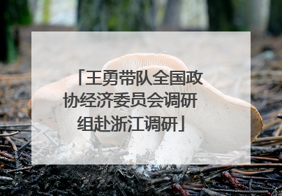 王勇带队全国政协经济委员会调研组赴浙江调研