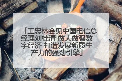 王忠林会见中国电信总经理刘桂清 做大做强数字经济 打造发展新质生产力的强劲引擎