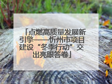 点燃高质量发展新引擎——忻州市项目建设“冬季行动”交出亮眼答卷
