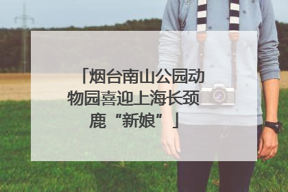 烟台南山公园动物园喜迎上海长颈鹿“新娘”