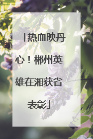 热血映丹心！郴州英雄在湘获省表彰