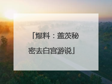 爆料：盖茨秘密去白宫游说