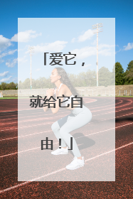 爱它，就给它自由！