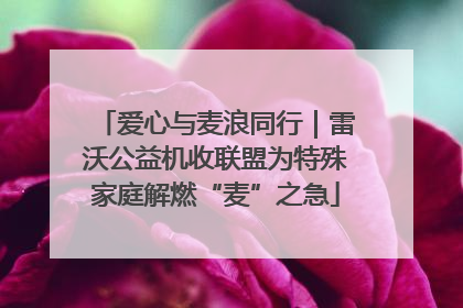 爱心与麦浪同行｜雷沃公益机收联盟为特殊家庭解燃“麦”之急