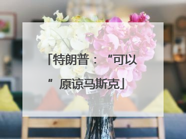 特朗普：“可以”原谅马斯克