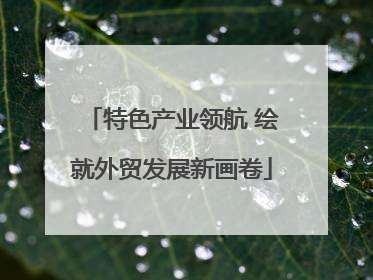 特色产业领航 绘就外贸发展新画卷