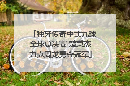 独牙传奇中式九球全球总决赛 楚秉杰力克周龙勇夺冠军