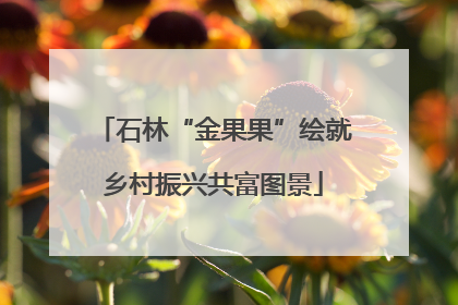 石林“金果果”绘就乡村振兴共富图景