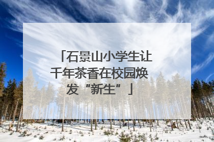 石景山小学生让千年茶香在校园焕发“新生”