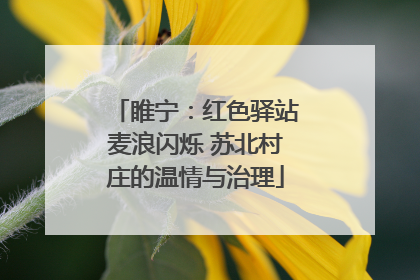 睢宁：红色驿站麦浪闪烁 苏北村庄的温情与治理