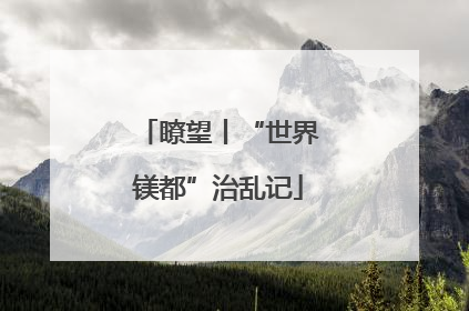 瞭望丨“世界镁都”治乱记