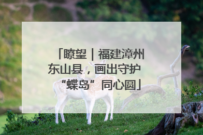 瞭望｜福建漳州东山县，画出守护“蝶岛”同心圆