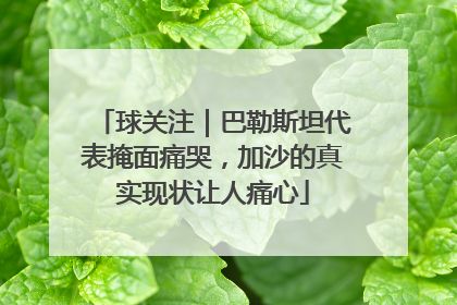 球关注｜巴勒斯坦代表掩面痛哭，加沙的真实现状让人痛心