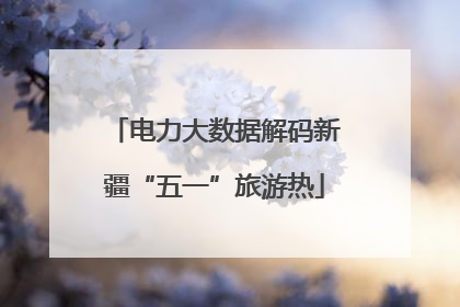 电力大数据解码新疆“五一”旅游热