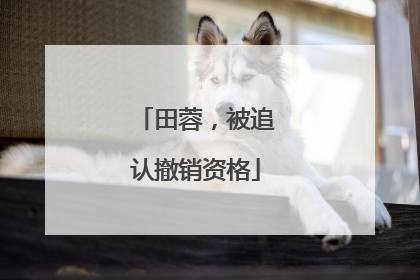 田蓉，被追认撤销资格