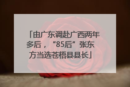 由广东调赴广西两年多后，“85后”张东方当选苍梧县县长