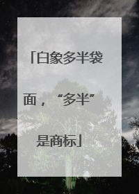 白象多半袋面，“多半”是商标