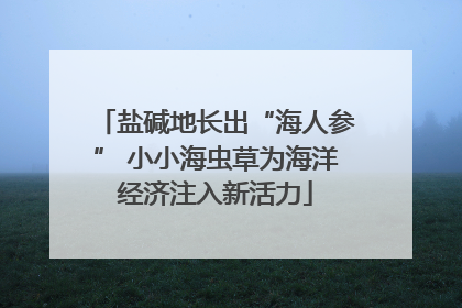 盐碱地长出“海人参” 小小海虫草为海洋经济注入新活力