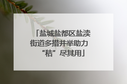 盐城盐都区盐渎街道多措并举助力“秸”尽其用