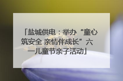 盐城供电：举办“童心筑安全 亲情伴成长”六一儿童节亲子活动