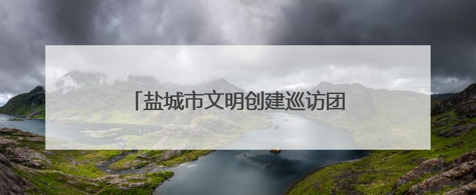 盐城市文明创建巡访团开展“党员亮身份服务当先锋”文明实践活动