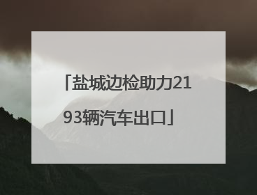 盐城边检助力2193辆汽车出口