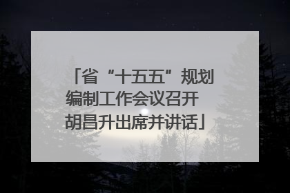 省“十五五”规划编制工作会议召开 胡昌升出席并讲话