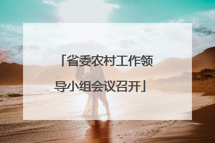 省委农村工作领导小组会议召开