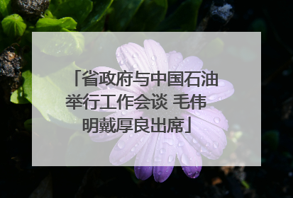 省政府与中国石油举行工作会谈 毛伟明戴厚良出席