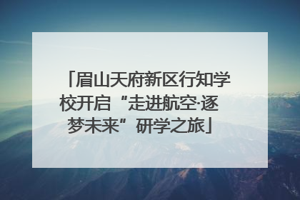 眉山天府新区行知学校开启“走进航空·逐梦未来”研学之旅