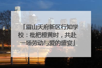 眉山天府新区行知学校：枇杷橙黄时，共赴一场劳动与爱的盛宴