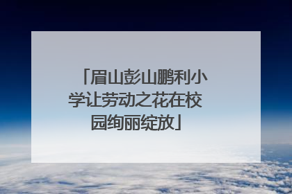 眉山彭山鹏利小学让劳动之花在校园绚丽绽放