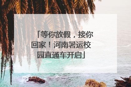 等你放假，接你回家！河南暑运校园直通车开启