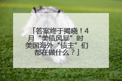 答案终于揭晓！4月“美债风暴”时 美国海外“债主”们都在做什么？