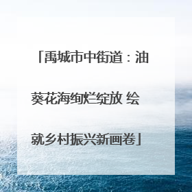 禹城市中街道：油葵花海绚烂绽放 绘就乡村振兴新画卷
