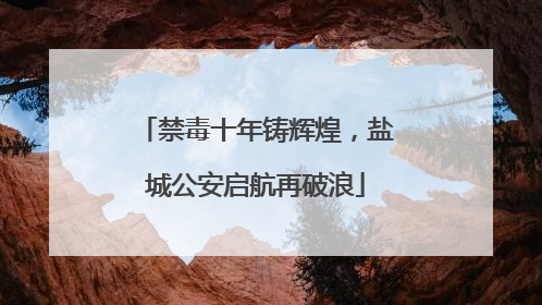禁毒十年铸辉煌，盐城公安启航再破浪