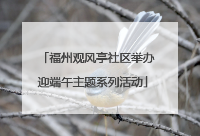 福州观风亭社区举办迎端午主题系列活动