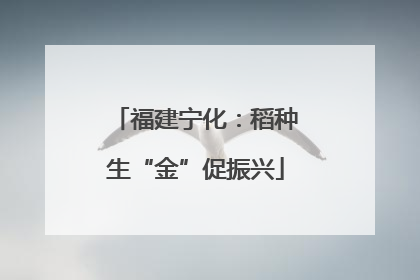 福建宁化：稻种生“金”促振兴