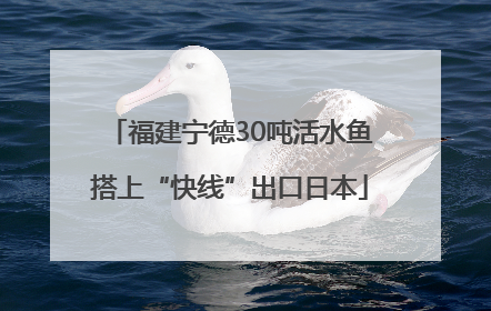 福建宁德30吨活水鱼搭上“快线”出口日本