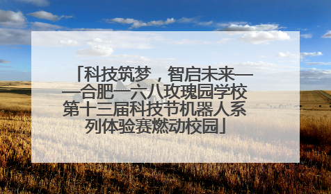 科技筑梦，智启未来——合肥一六八玫瑰园学校第十三届科技节机器人系列体验赛燃动校园