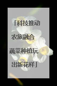 科技推动农旅融合 蔬菜种植玩出新花样
