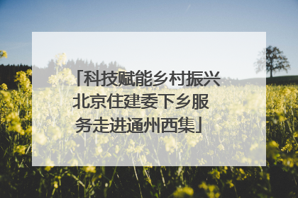 科技赋能乡村振兴 北京住建委下乡服务走进通州西集