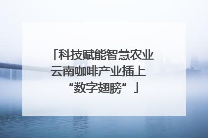 科技赋能智慧农业 云南咖啡产业插上“数字翅膀”