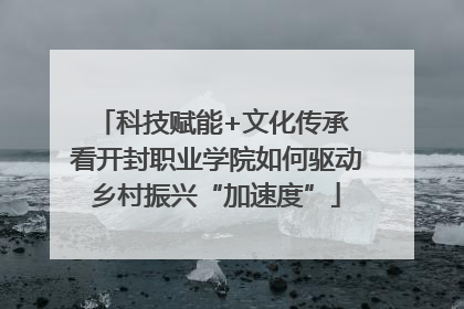 科技赋能+文化传承 看开封职业学院如何驱动乡村振兴“加速度”
