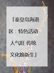 秦皇岛海港区：特色活动人气旺 传统文化焕新生